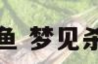 周公解梦杀甲鱼 梦见杀甲鱼如何破解