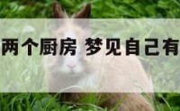 梦见自己有两个厨房 梦见自己有两个厨房什么预兆