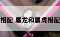 属龙和属虎相配 属龙和属虎相配的婚姻怎样