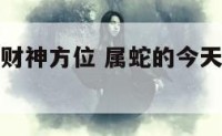 属蛇的今天财神方位 属蛇的今天财神方位是哪一方