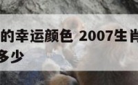 2007猪的幸运颜色 2007生肖猪幸运数字是多少