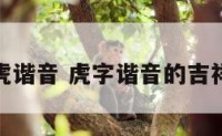 属虎谐音 虎字谐音的吉祥语
