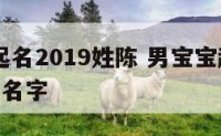 男宝宝起名2019姓陈 男宝宝起名2019姓陈的名字