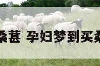 孕妇梦到买桑葚 孕妇梦到买桑葚是胎梦吗