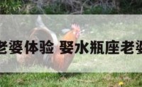 娶水瓶座老婆体验 娶水瓶座老婆体验什么