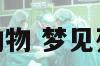 总是梦见死人以动物 梦见死人在动什么意思