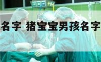 猪宝宝男孩名字 猪宝宝男孩名字叫天宇是不是不吉利呢