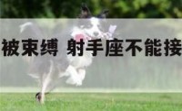 射手座不能被束缚 射手座不能接受的爱情关系