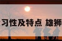 雄狮的生活习性及特点 雄狮的生活环境