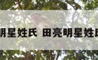田亮明星姓氏 田亮明星姓氏排名