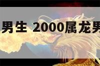 2000属龙男生 2000属龙男生性格特点及脾气