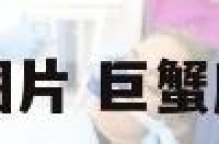 巨蟹座发型图片 巨蟹座发型图片女