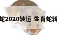 属蛇2020转运 生肖蛇转运