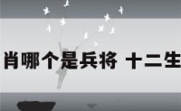 十二生肖哪个是兵将 十二生肖兵马