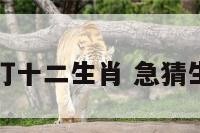 急打十二生肖 急猜生肖