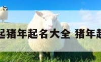 猪年起猪年起名大全 猪年起名字