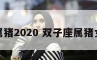 双子座属猪2020 双子座属猪女生性格