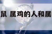 属鸡和晚上的鼠 属鸡的人和属鼠的人相结合好不好?