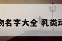 读乳类动物名字大全 乳类动物有哪些