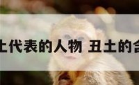 丑土代表的人物 丑土的含义