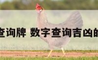 数字查询牌 数字查询吉凶的方法