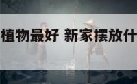 新家摆什么植物最好 新家摆放什么植物旺家保平安