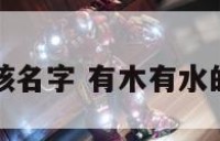有木字的男孩名字 有木有水的字男孩名字