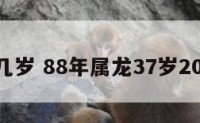 属龙是几岁 88年属龙37岁2025运势