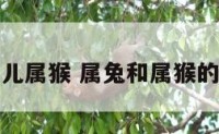 妈妈属兔女儿属猴 属兔和属猴的母女合不合