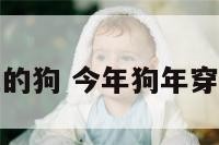 今年什么颜色的狗 今年狗年穿啥颜色有好运