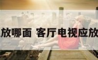 客厅电视放哪面 客厅电视应放哪个方向