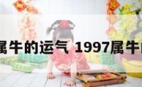 1997属牛的运气 1997属牛的运势