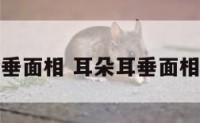 耳朵有耳垂面相 耳朵耳垂面相算命图解