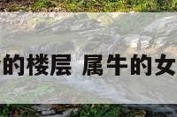 属牛女适合的楼层 属牛的女人住几楼旺