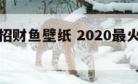 手机动态招财鱼壁纸 2020最火手机壁纸招财鱼
