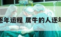属牛的人逐年运程 属牛的人逐年运程如何