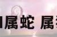 两小孩属猪和属蛇 属猪和属蛇父子