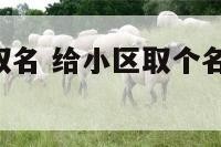 小区活动对取名 给小区取个名字,取名原因 题目