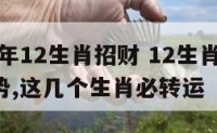 2016年12生肖招财 12生肖2016年运势,这几个生肖必转运