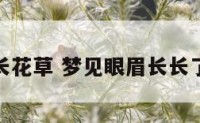 梦见眼眉长花草 梦见眼眉长长了怎么回事