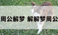 怎么破解周公解梦 解解梦周公解梦大全