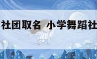 小学生舞蹈社团取名 小学舞蹈社团名字有创意好听