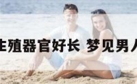 梦见男人生殖器官好长 梦见男人生殖系统