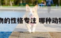 哪种动物的性格专注 哪种动物最专一