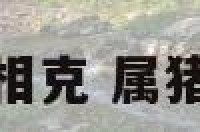 属猪和什么生肖相克 属猪和哪个属相相克