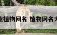 农业植物网名 植物网名大全