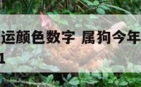 属狗今年幸运颜色数字 属狗今年幸运色是什么颜色2021