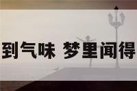梦中闻到气味 梦里闻得到味道