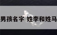 姓李属马男孩名字 姓李和姓马孩子名字