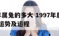 1997年属兔的多大 1997年属兔人2021年运势及运程